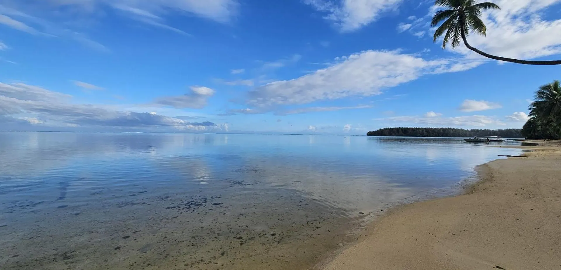Apartment Moorea - Tropical Nest Hauru