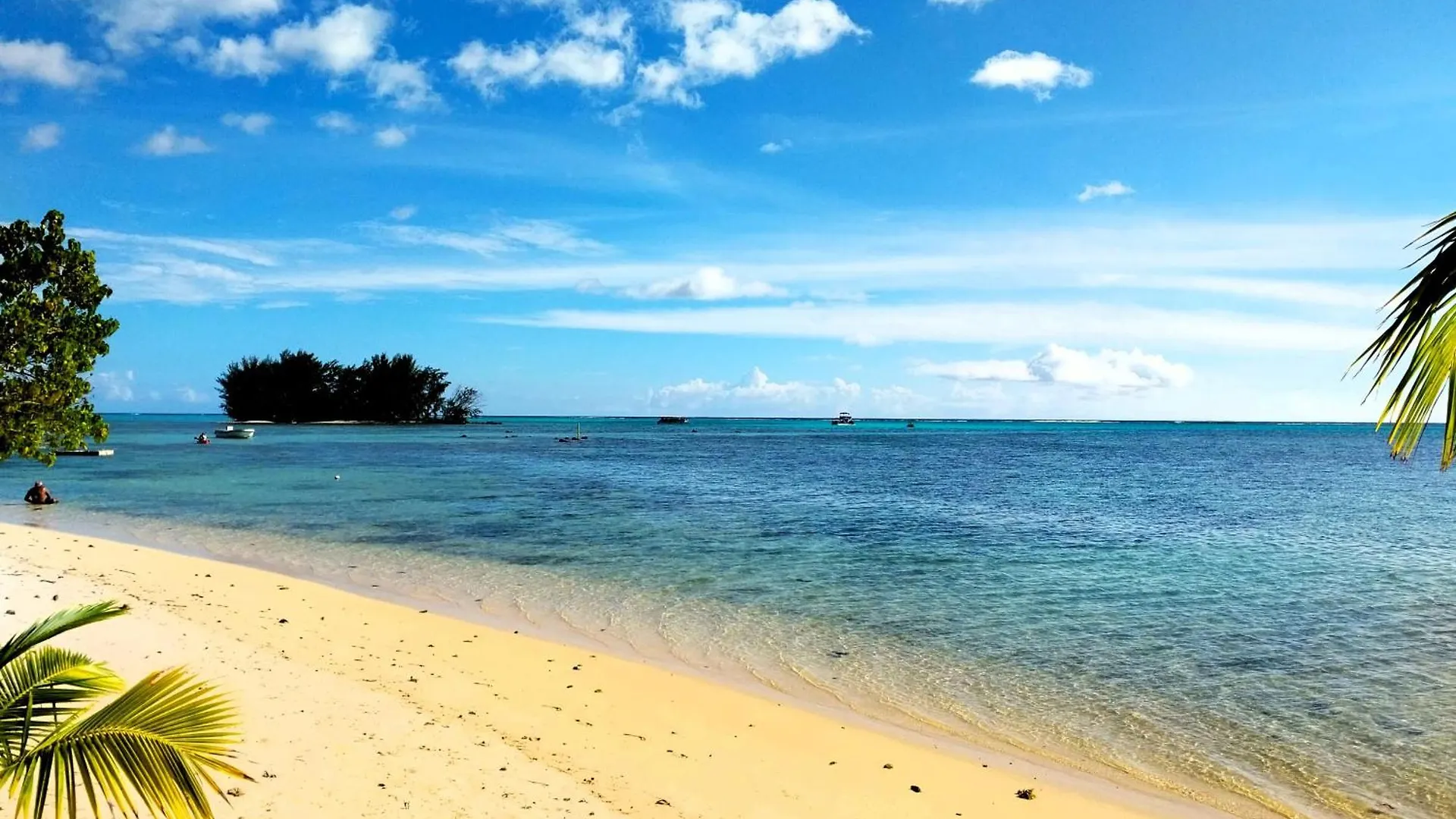 Apartment Moorea - Tropical Nest Hauru