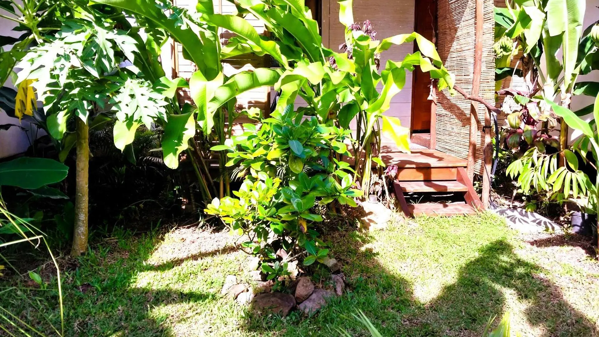 Apartment Moorea - Tropical Nest Hauru